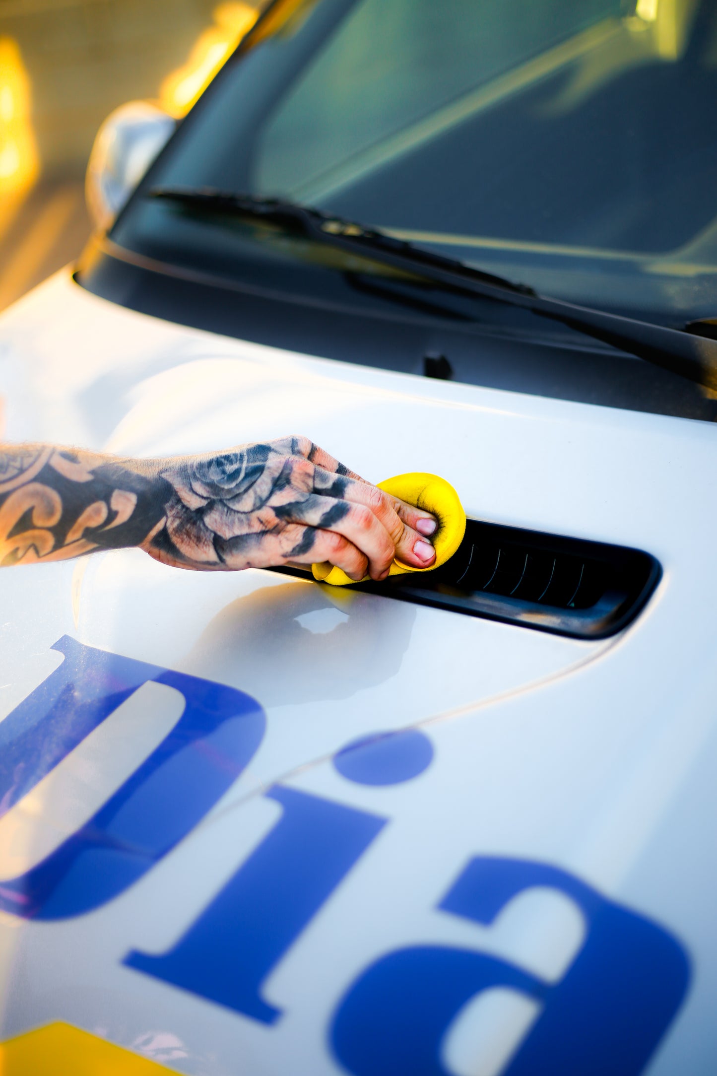 Renovador de plásticos 250ml